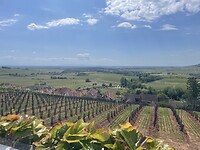IMG_6148