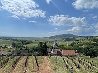 IMG_6151