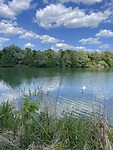 IMG_6163