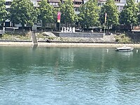 IMG_6176