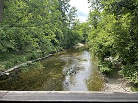 IMG_6186