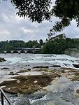 IMG_6221