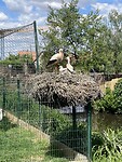 IMG_6134
