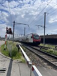 IMG_6251