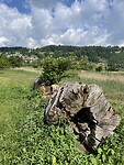 IMG_6269