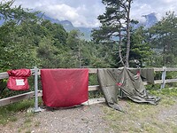 IMG_6294