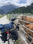 IMG_6298