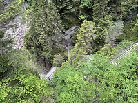 IMG_6301
