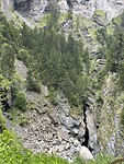 IMG_6304