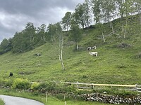 IMG_6306
