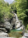 IMG_6358