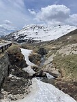 IMG_6352