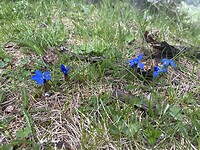 IMG_6322