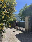 IMG_6390