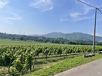 IMG_6435