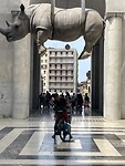 IMG_6459