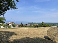 IMG_6463