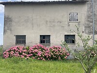 IMG_6471