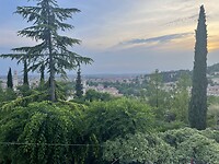 IMG_6479