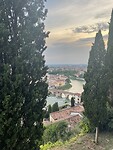 IMG_6487