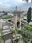 IMG_6489