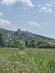 IMG_6502