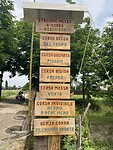 IMG_6507
