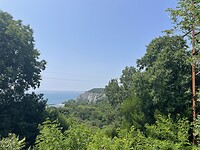 IMG_6557