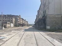 IMG_6561