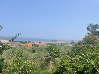 IMG_6582