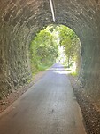IMG_6587
