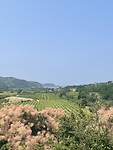 IMG_6588