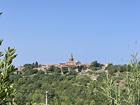 IMG_6631