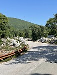 IMG_6654