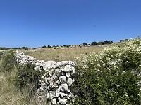 IMG_6728