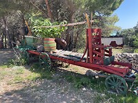 IMG_6773