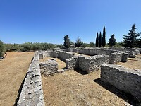 IMG_6774