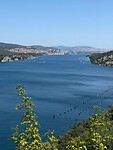 11efa1c7-536b-403e-8ad3-a659fd310988