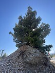 IMG_6806