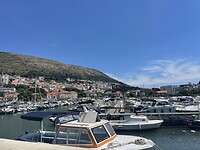 IMG_6975