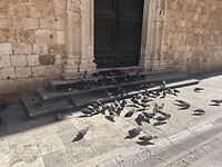 IMG_6978
