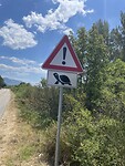 IMG_7005