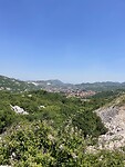 IMG_7113