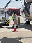 IMG_7203