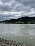 IMG_7246