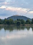 IMG_7253