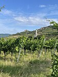 IMG_7256