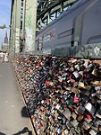 IMG_7351