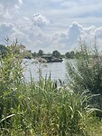 IMG_7392