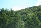 excursie mullerthal 005